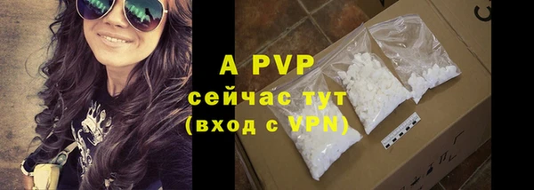 гашик Гусиноозёрск